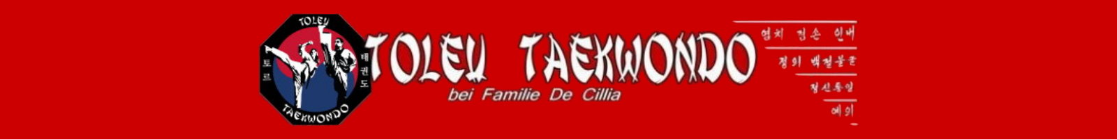 Toleu Taekwondo